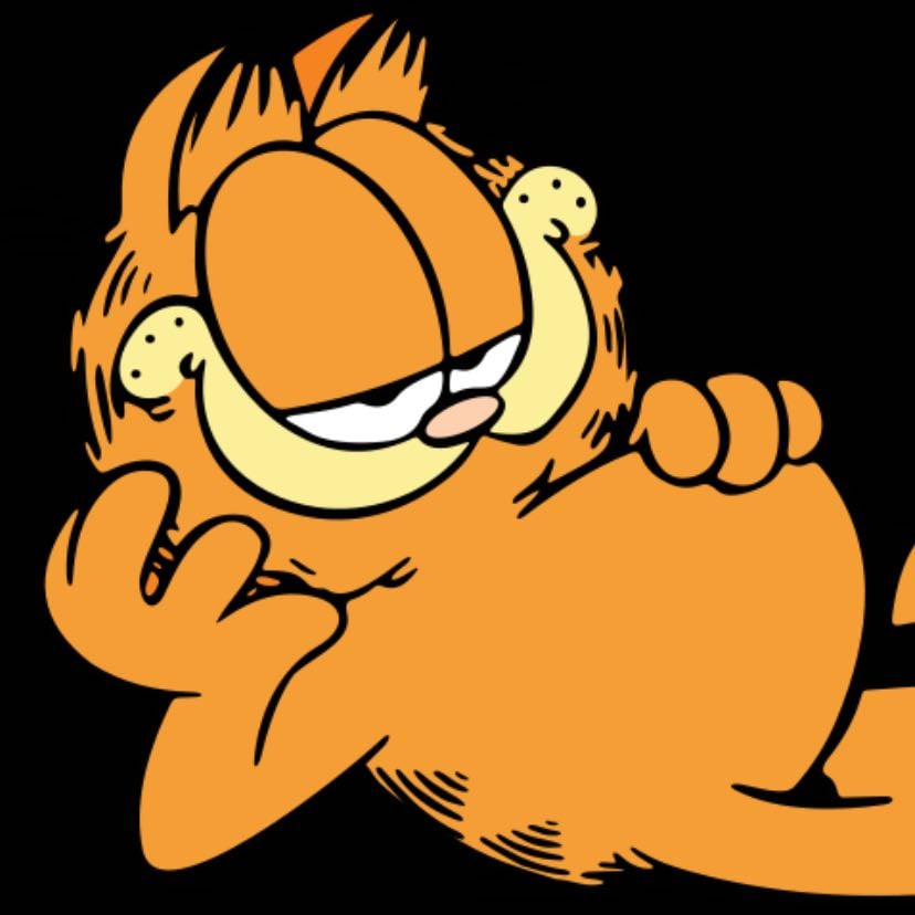 Garfield - Garfield