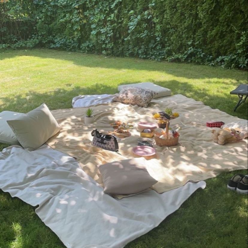 picnic