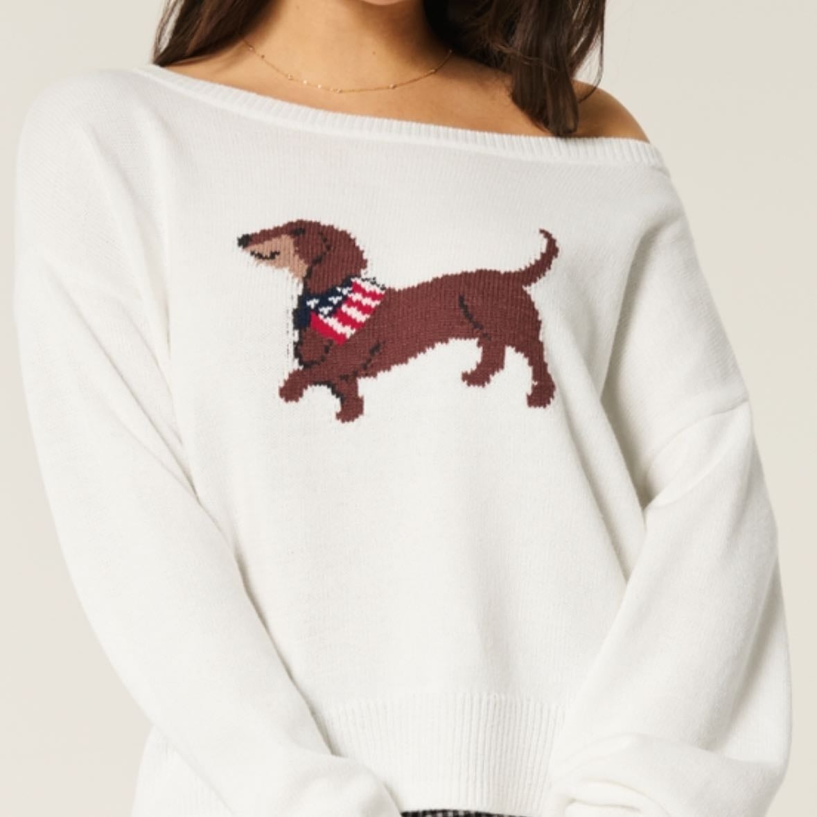 dachshund sweater - $25