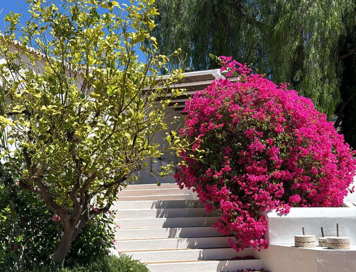 Algarve - Places hypelist by Antonio Falcao
