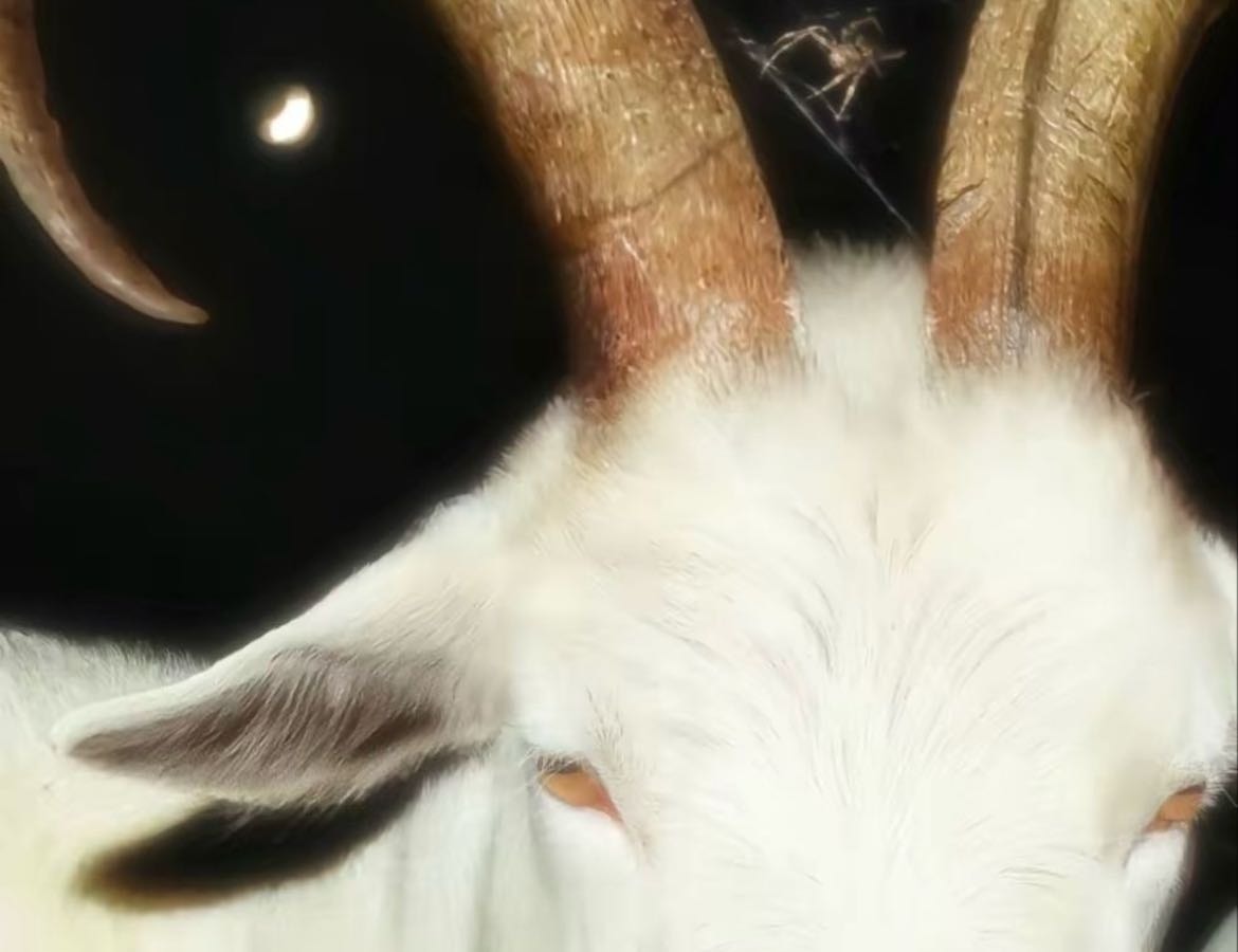 Wish list Metal vibes 🤘 - Music hypelist by Julieta Vega