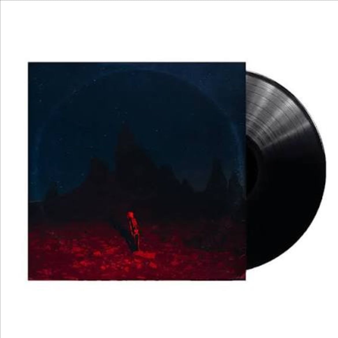 vinyl punisher - 30-35€ • phoebe bridgers