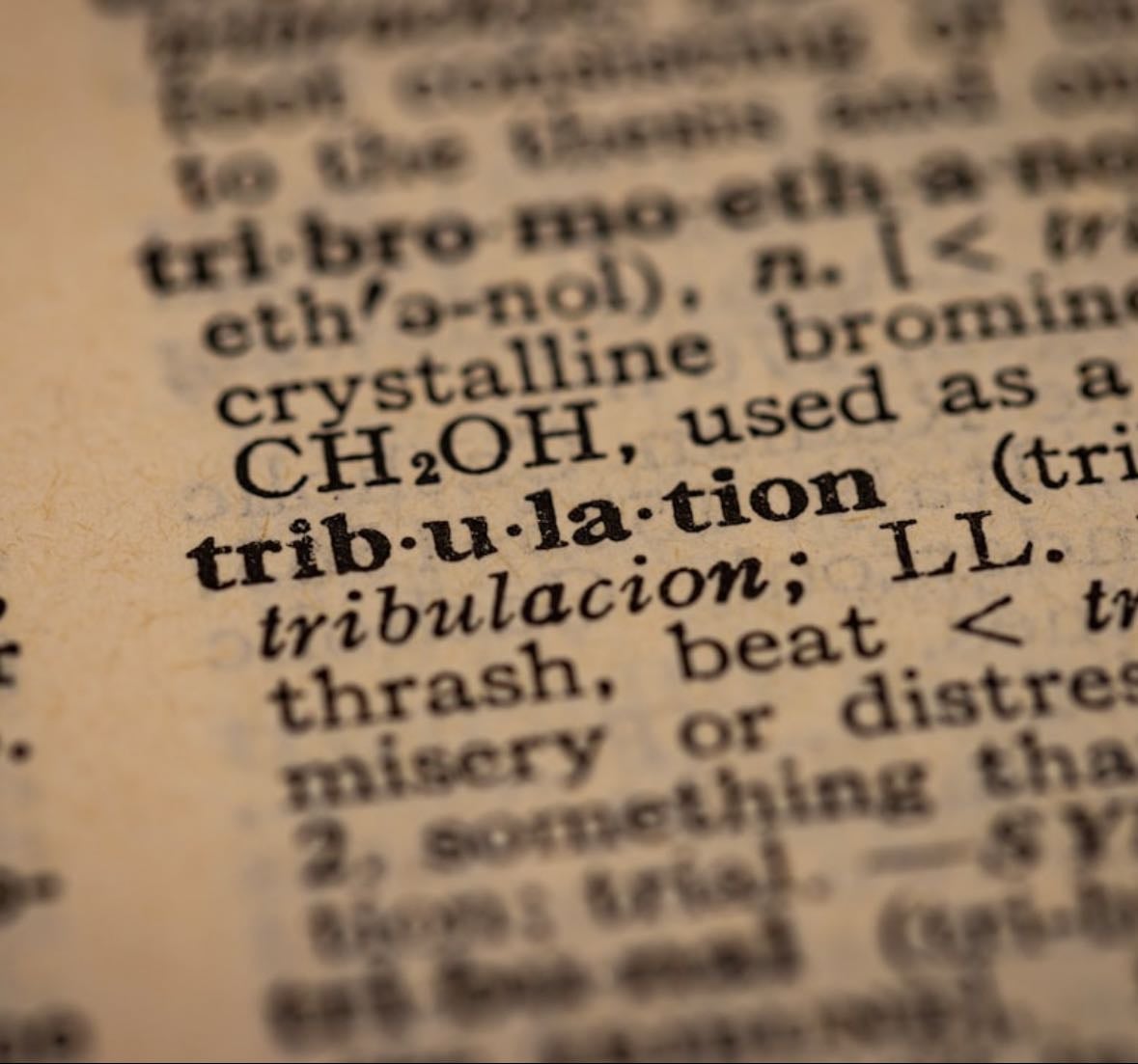 Vocabulary