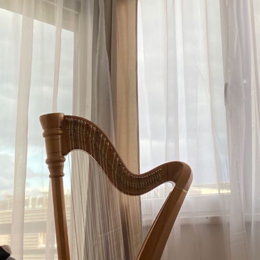 playing the harp - i believe learning to play this instrument would heal anyone