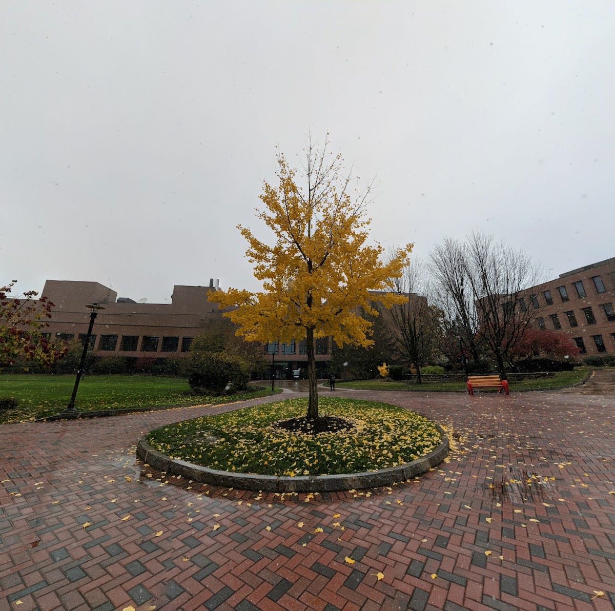 rochester institute of technology - the tech and business college