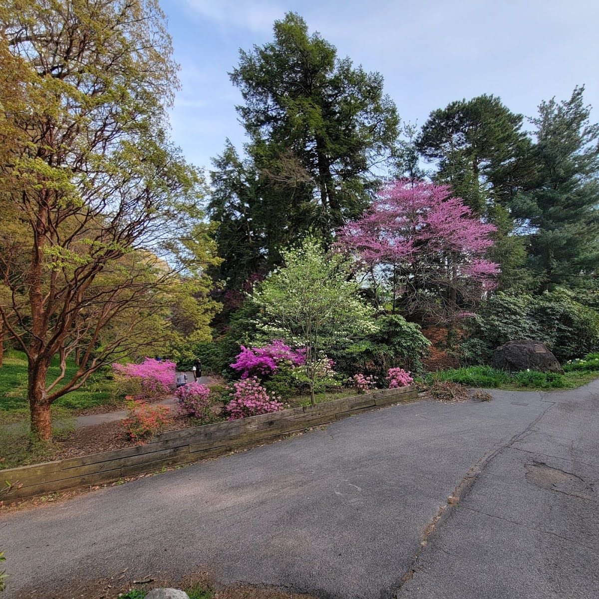 highland park - home of rochester's lilac festival