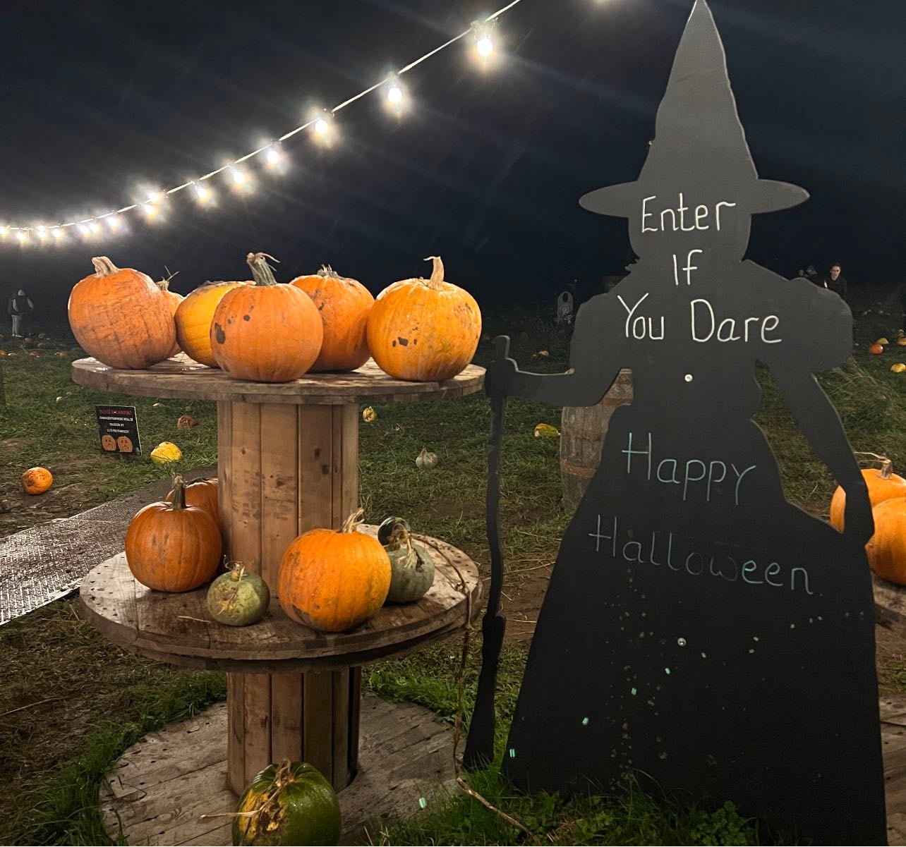 Autumnal Activities🍂 - Other hypelist by Macy