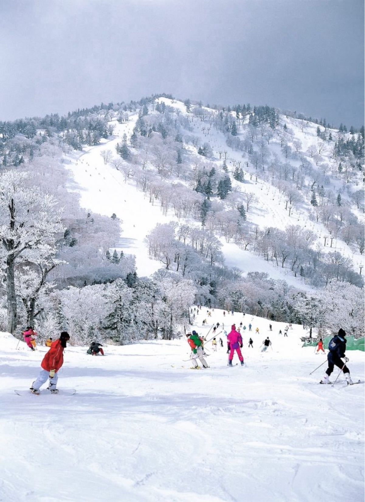 Snowboarding in Japan