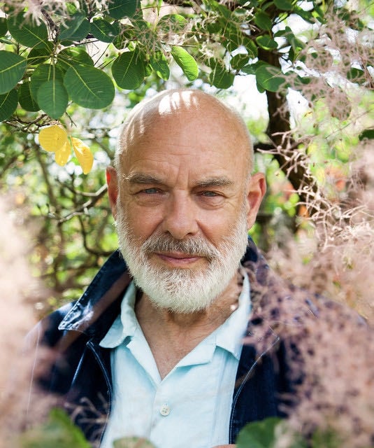 Brian Eno - Artist