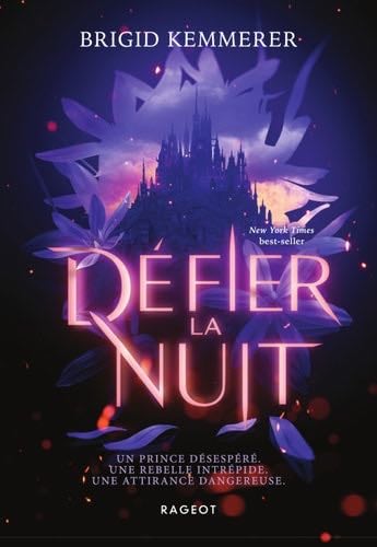 Défier la nuit - Brigid Kemmerer · 2024