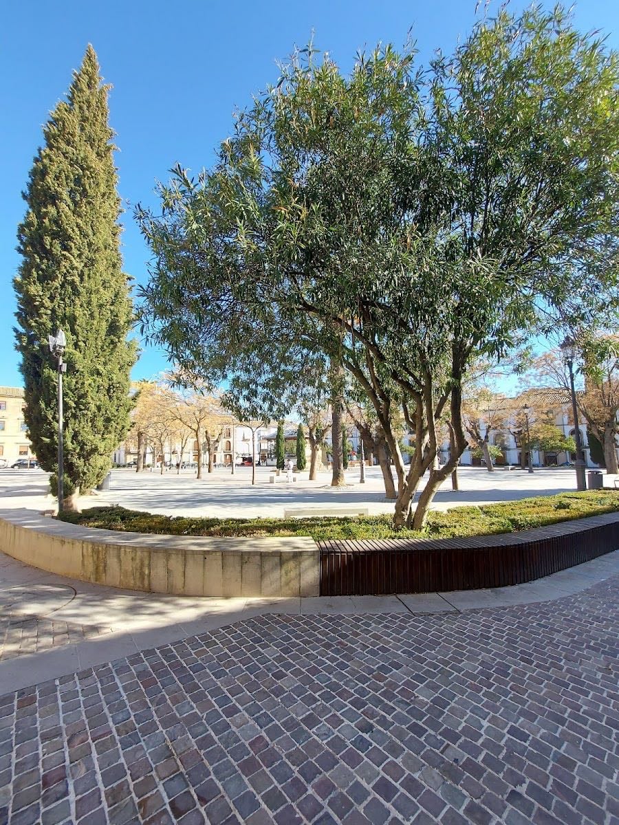Plaza Primero de Mayo