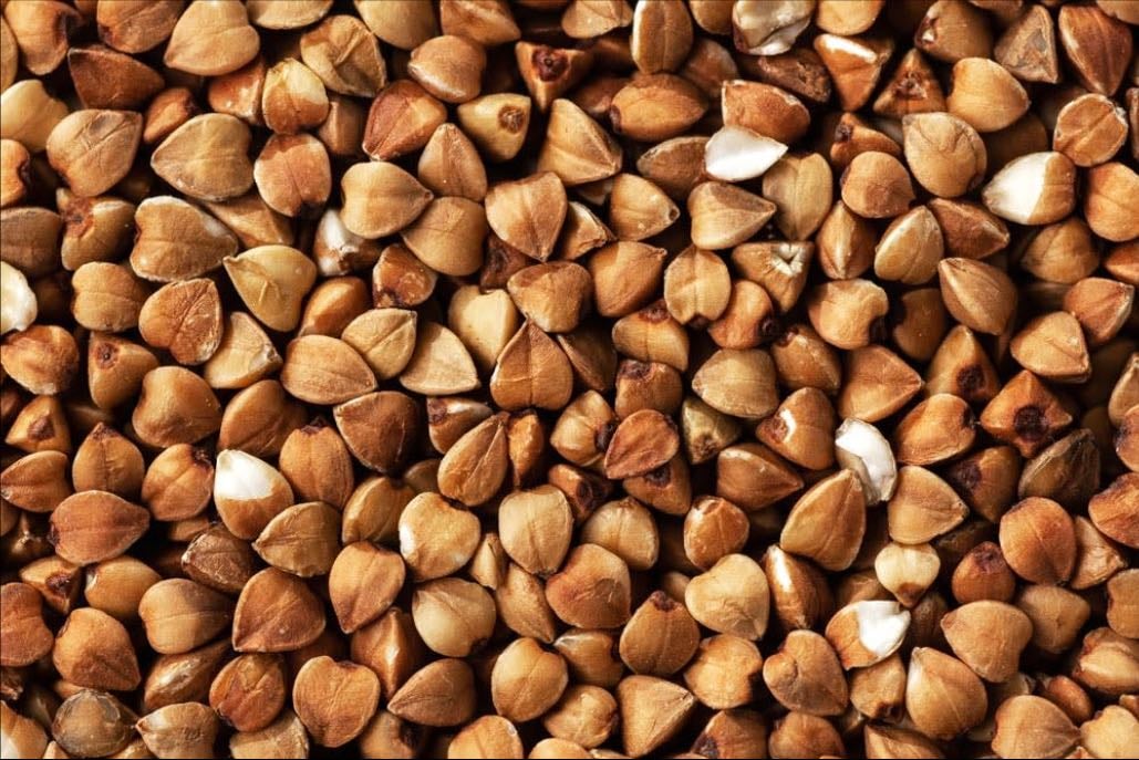 Buckwheat