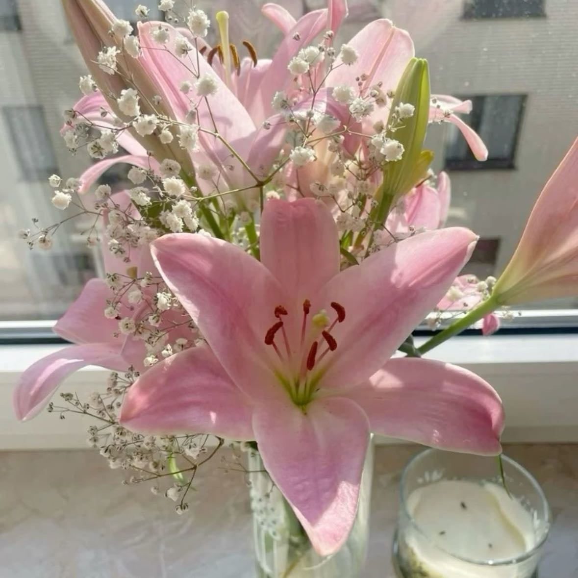 pink lilies - favourite flower