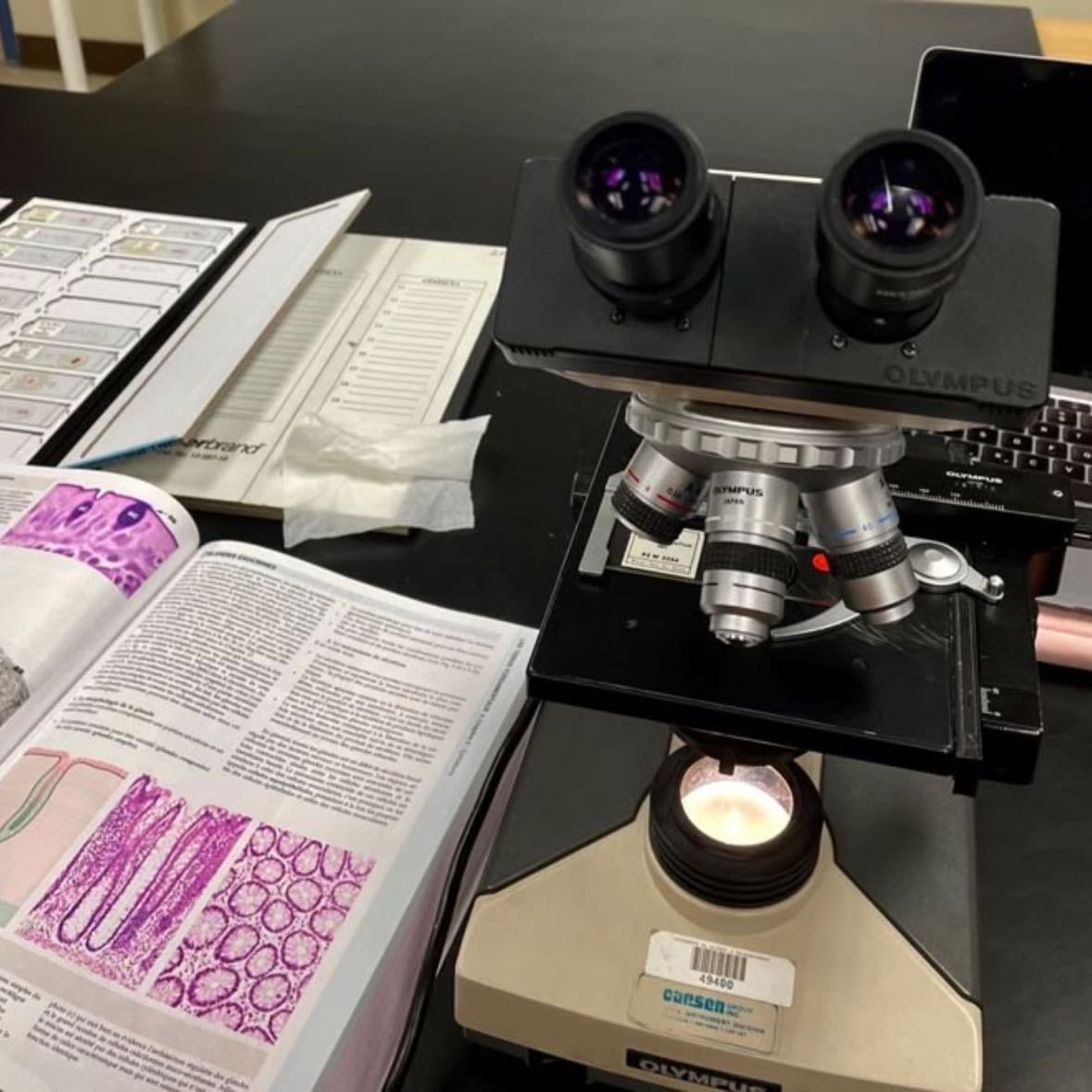 biomedical scientist