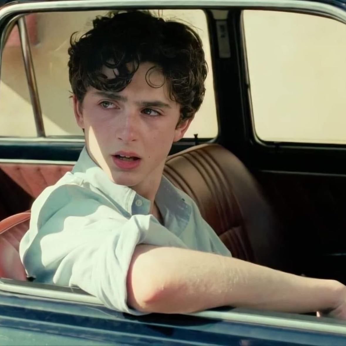 Call Me by Your Name - Luca Guadagnino · 2017