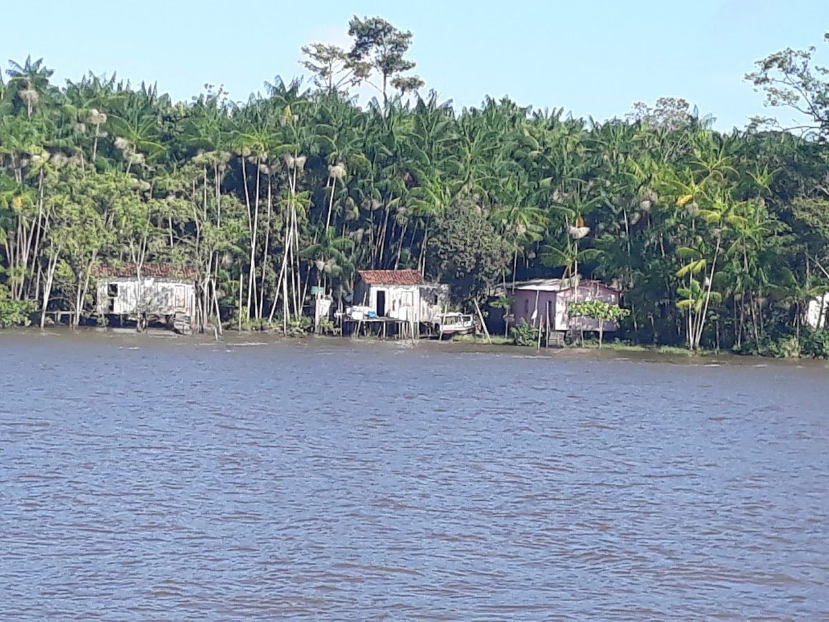 Ilha de Cotijuba