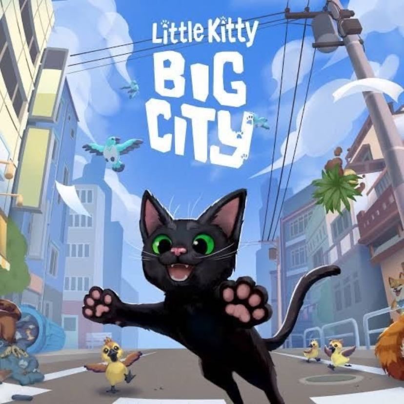 Little kitty big city