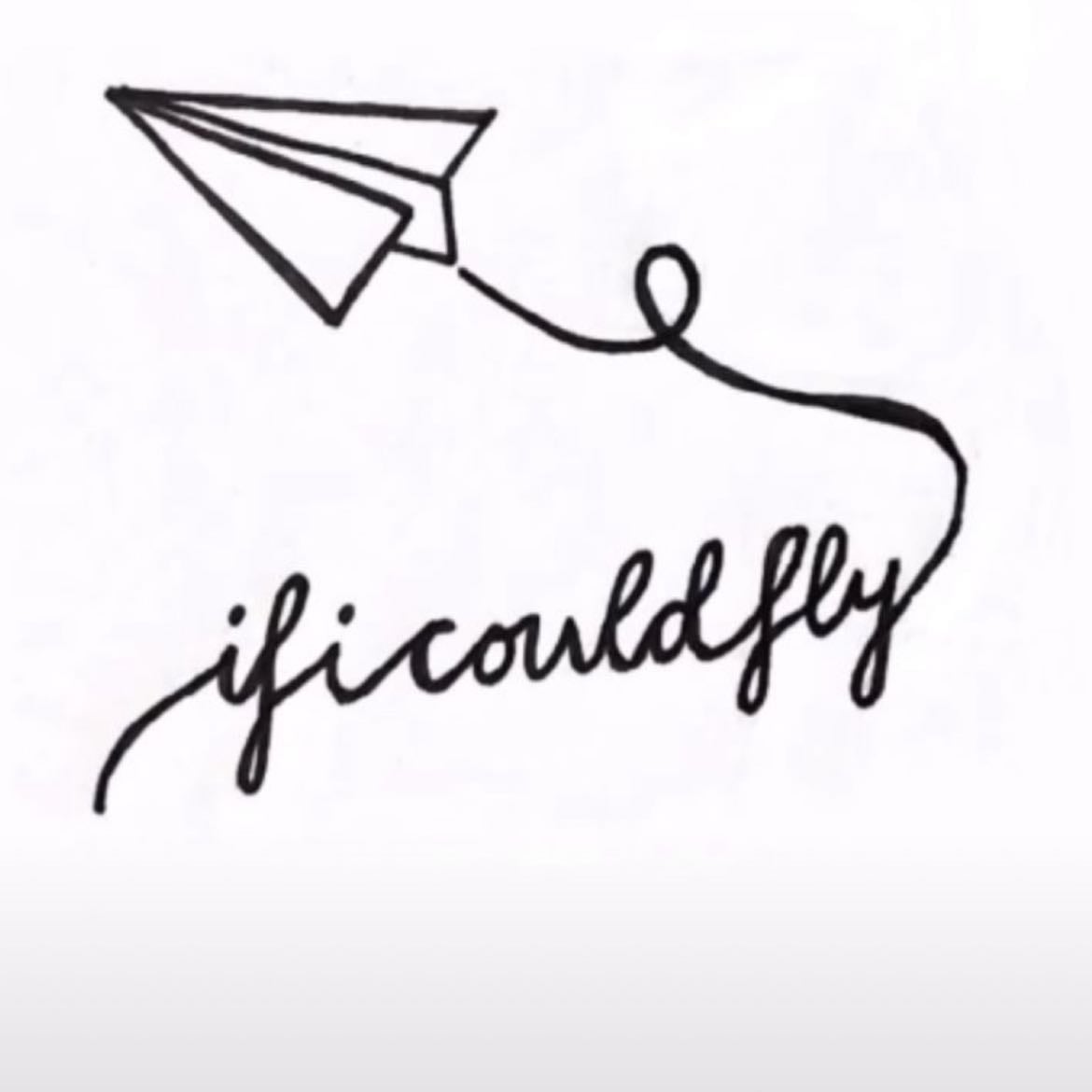 If I could fly