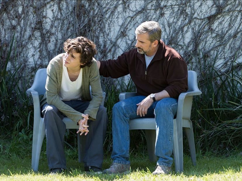 Beautiful Boy: siempre serás mi hijo - Felix van Groeningen · 2018