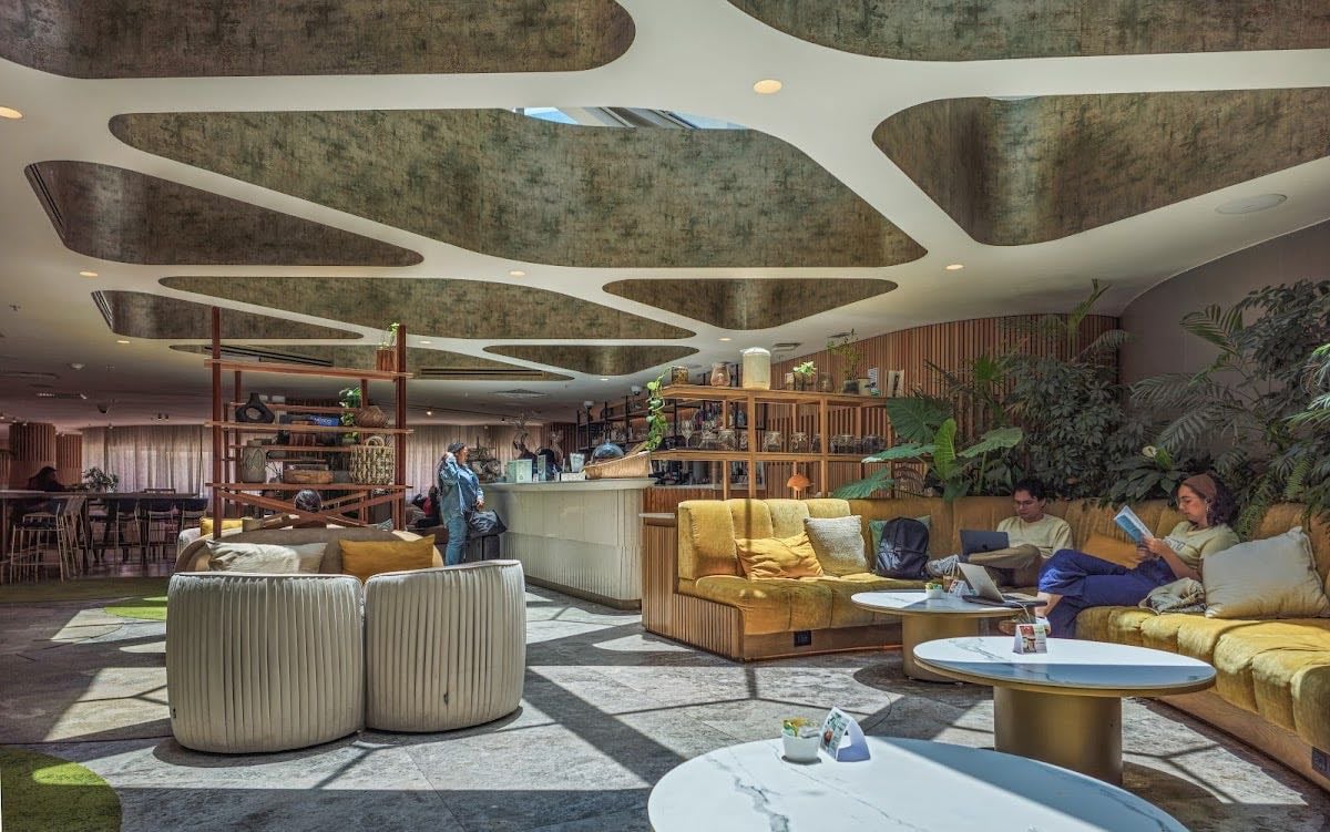 Derba Matcha Café