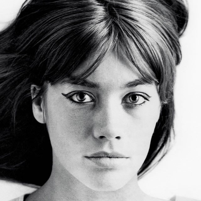Françoise Hardy - Artist