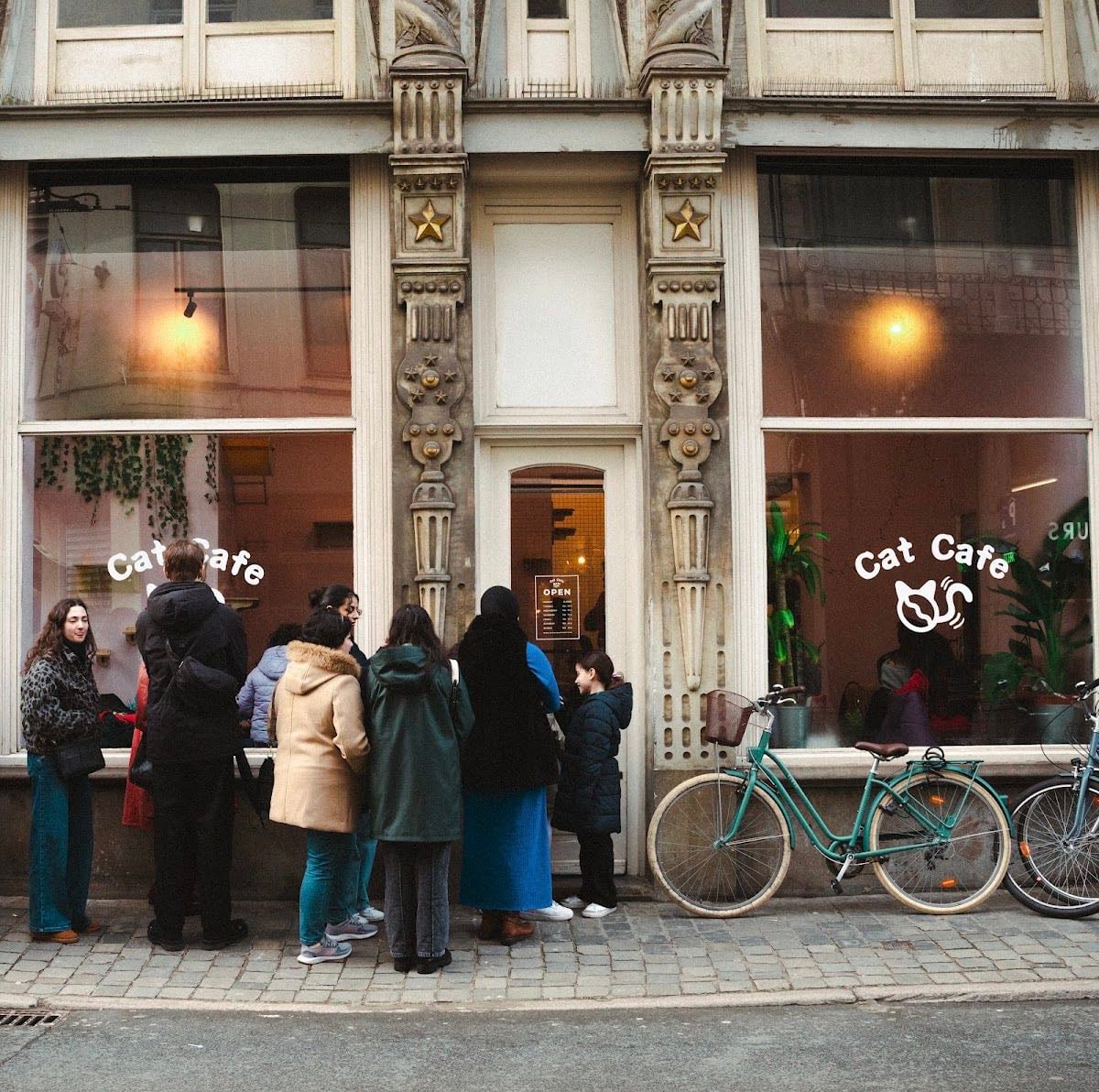 Cat Café Antwerp