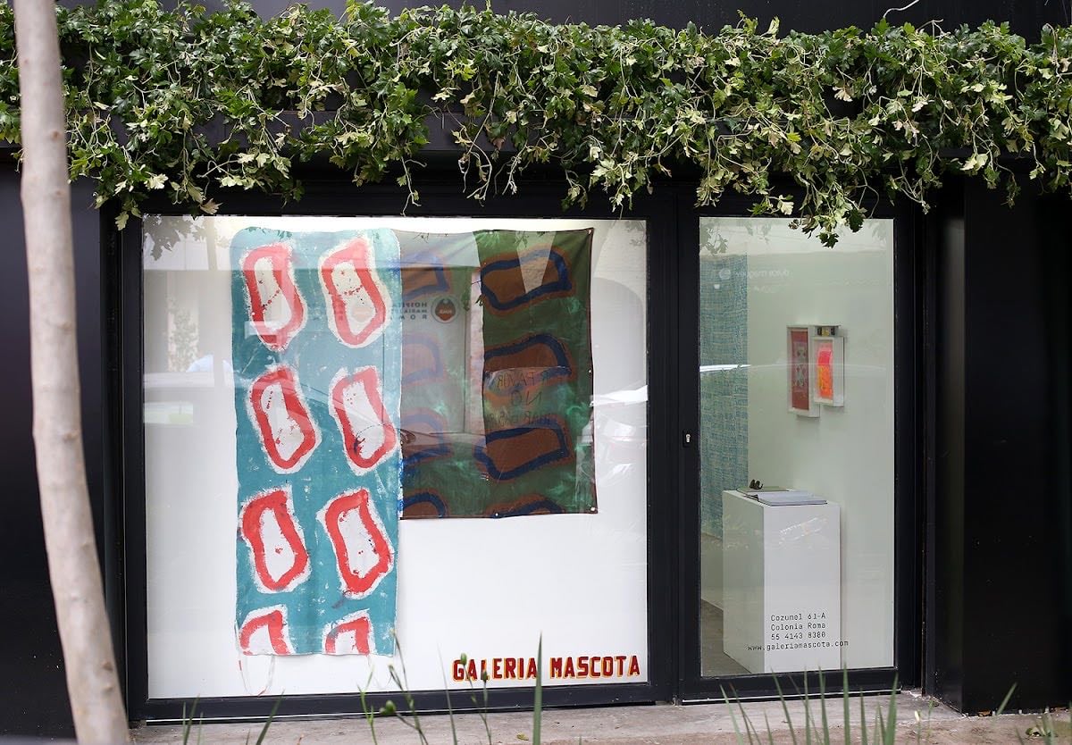 Galería Mascota