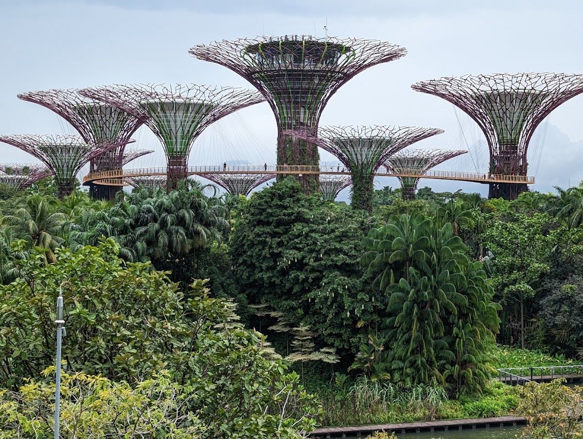 Marina Bay Sands - Ver espectáculo de luces (consultar horarios)