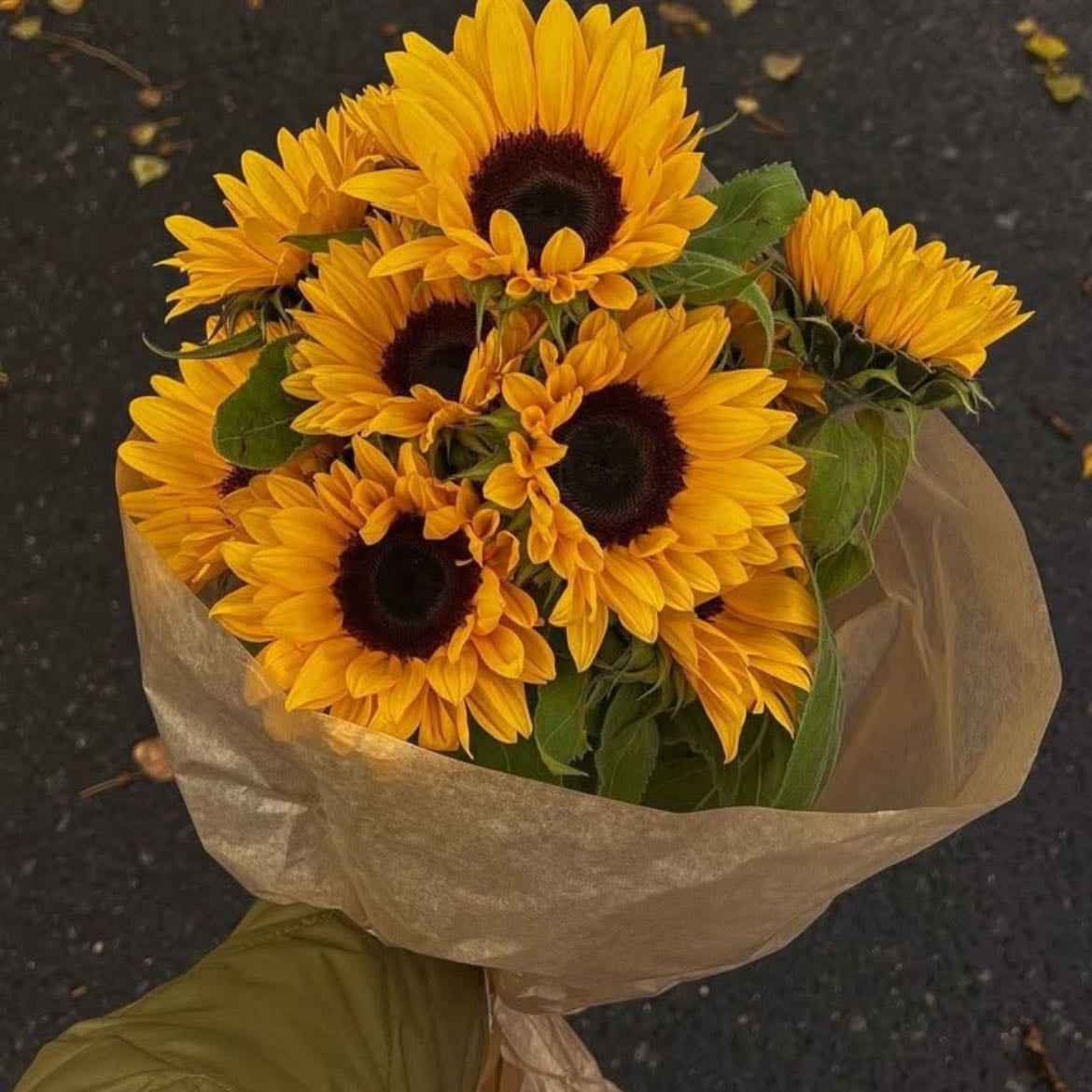 Girasol - Admiración, lealtad, energía positiva