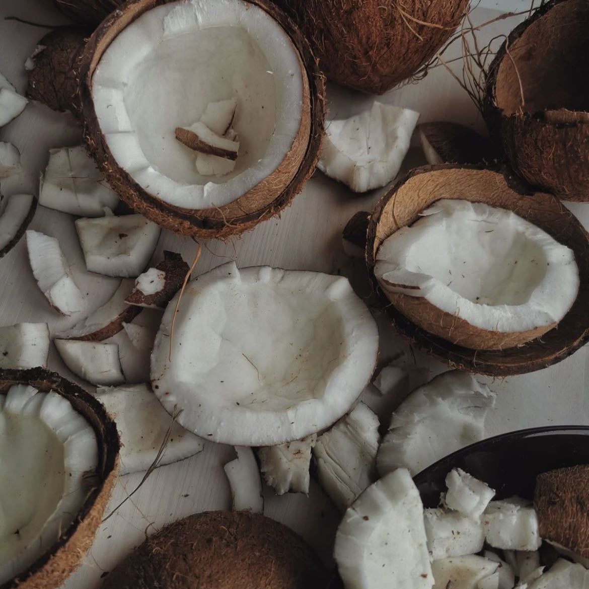 Coco 🥥 - Resiliencia, refugio interior, suavidad oculta