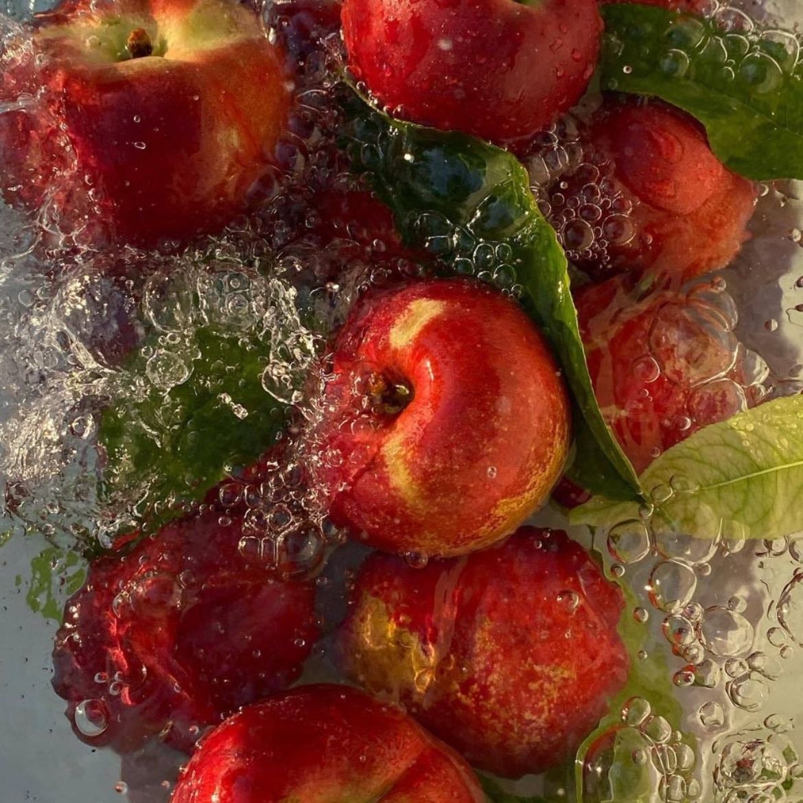 Manzana 🍎 - Conocimiento, tentación, belleza prohibida