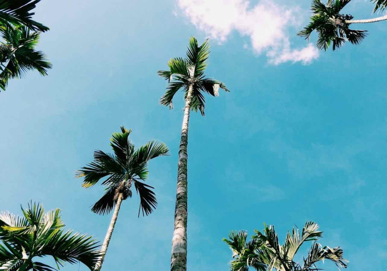 gili t favourites ๐๏ธ - Places hypelist by Julia Biala