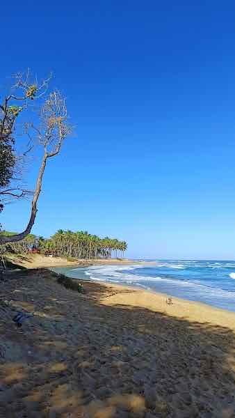 Playa Encuentro - surf beach & cute cafes