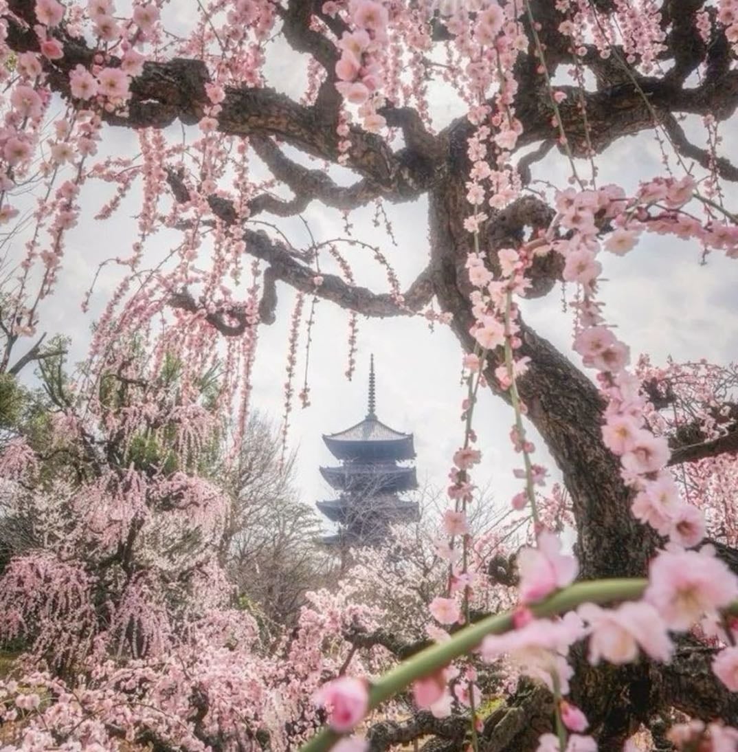 visitar antes d morrer - Places hypelist by Luma 馃┓