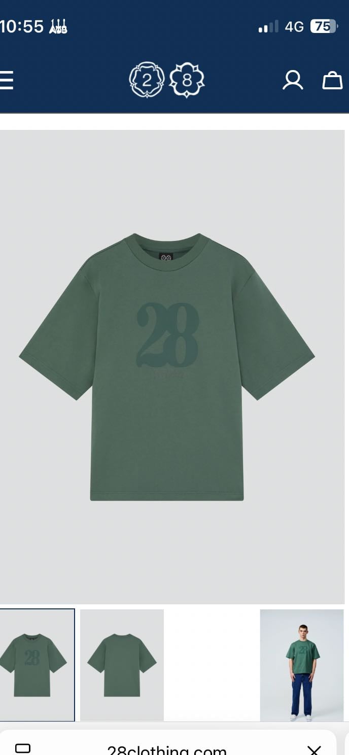 green 28 t-shirt - itโs not exactly merch but iโll still include it as itโs still louisโ band. i love this shirt so much, the material is so comfortable and itโs a nice design in general!