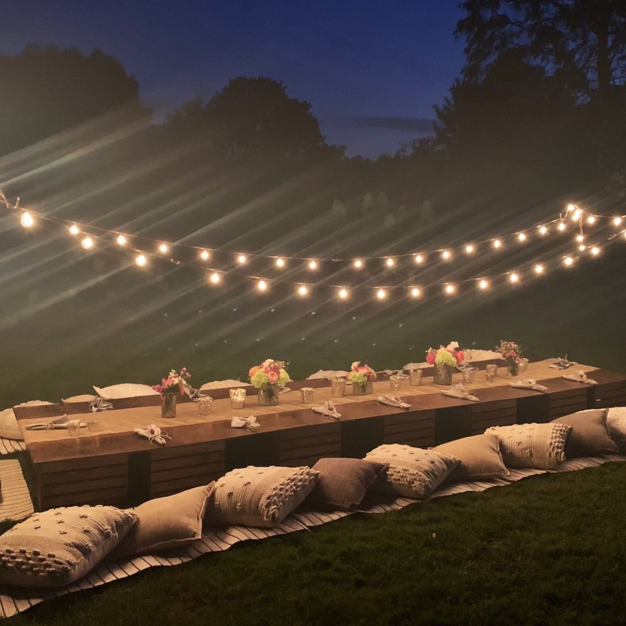 Outdoor picnic