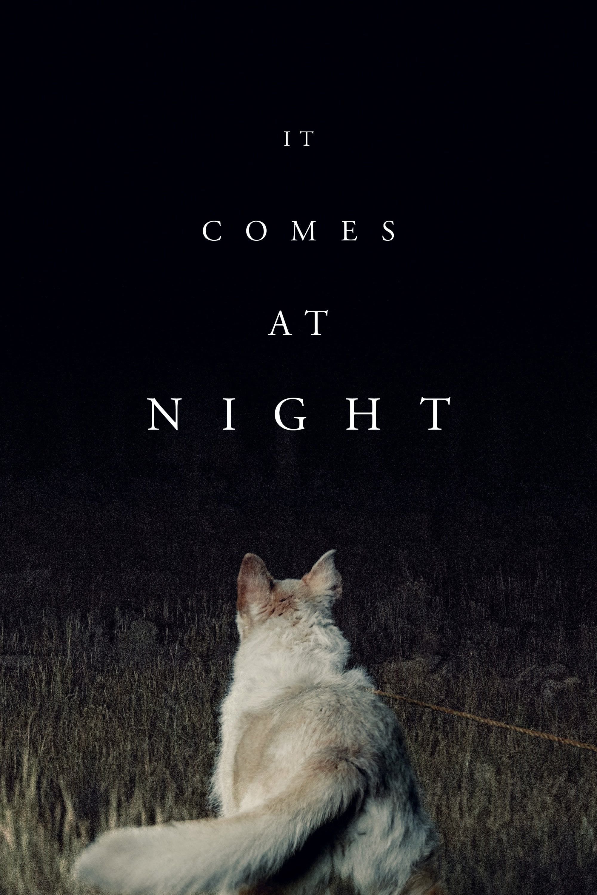 It Comes at Night - Trey Edward Shults · 2017