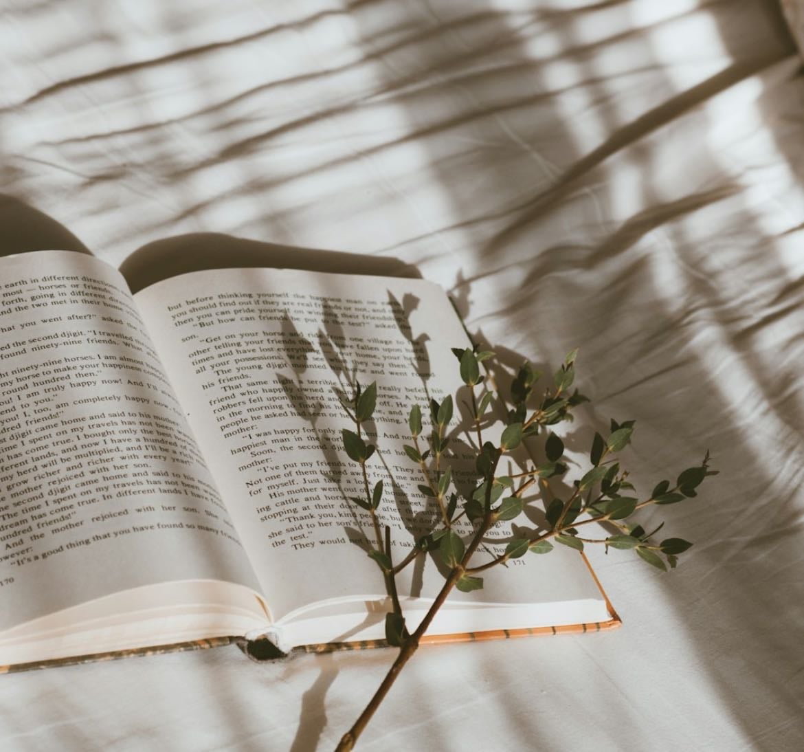The books I love to read - Books hypelist by 🥥