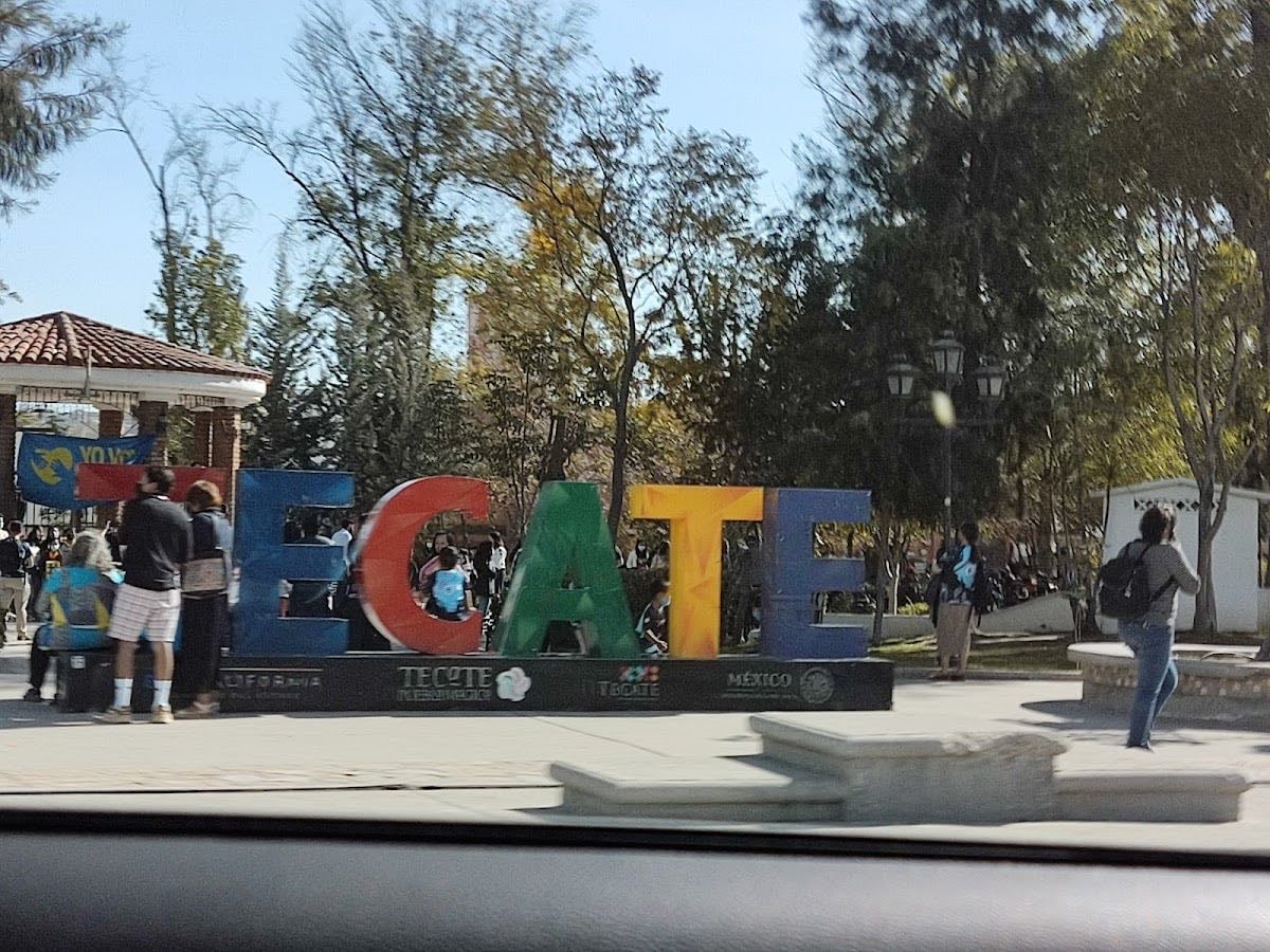 Tecate