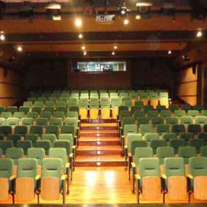 Centro Cultural El Olivar de San Isidro