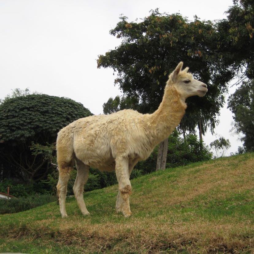 Parque de las Leyendas
