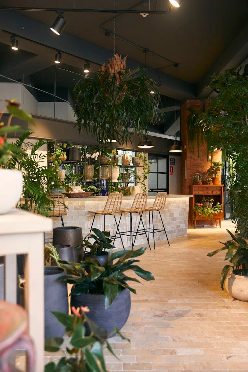Gardenia Concept Store