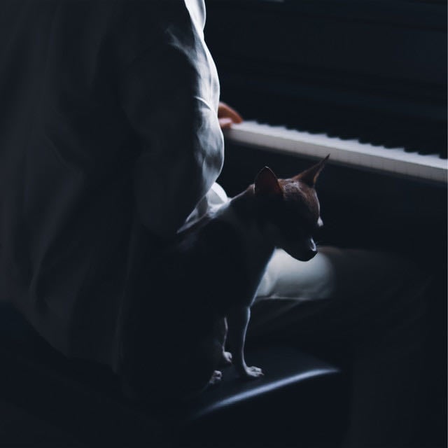 Idea 22 - Song · Gibran Alcocer