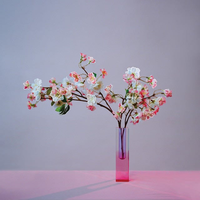 plum blossom (revisited) - Album · mxmtoon