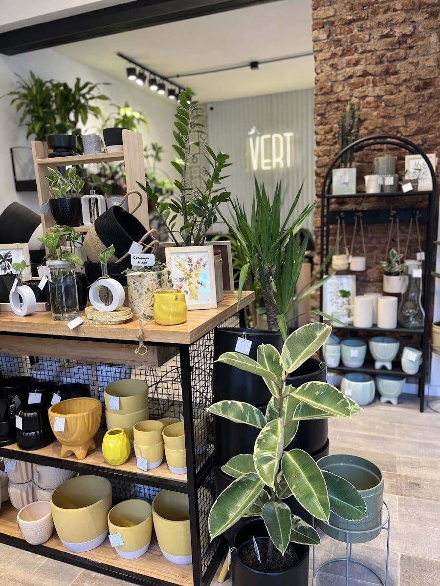 VERT Plantas+Deco+Caf茅