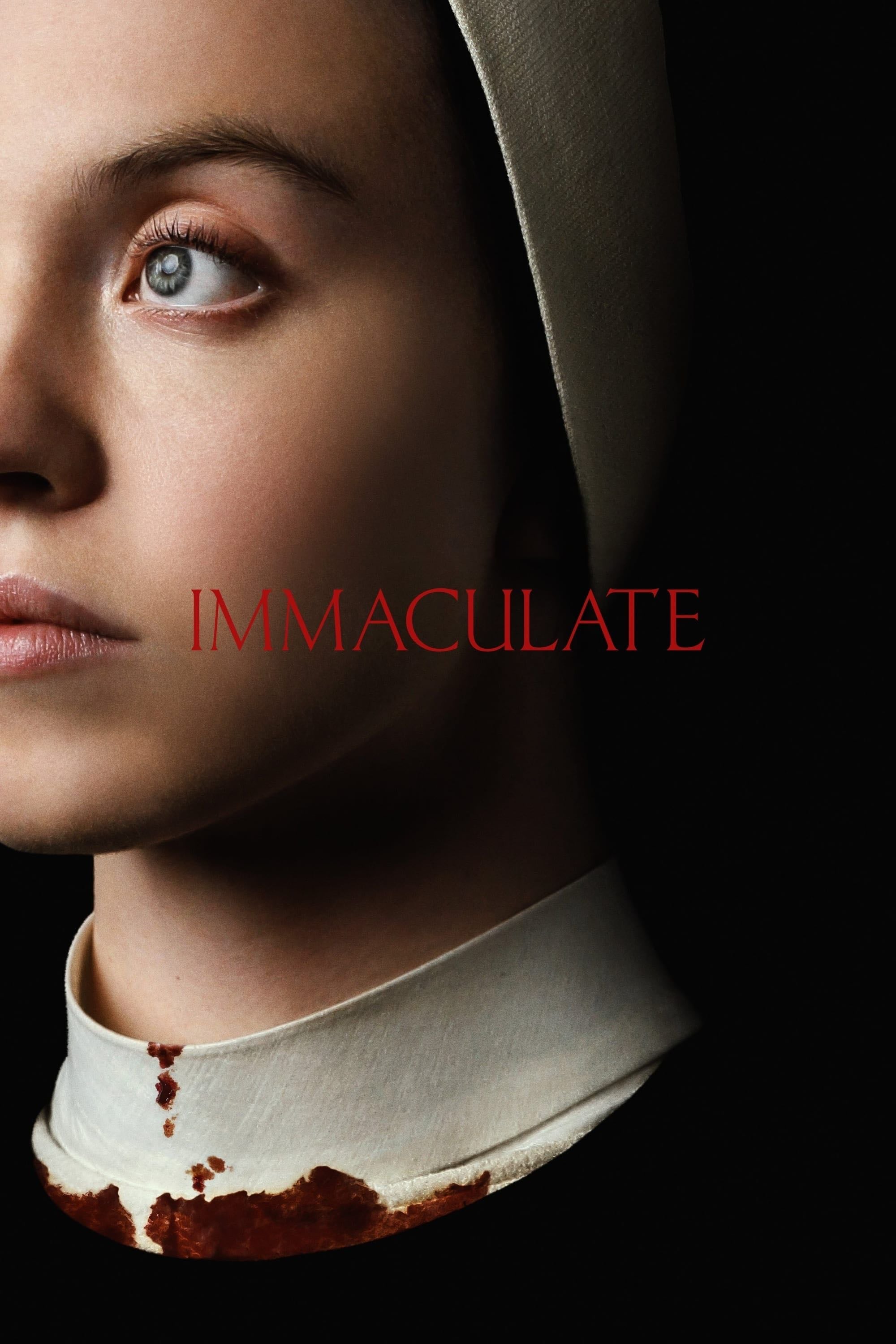 Immaculate - Michael Mohan · 2024
