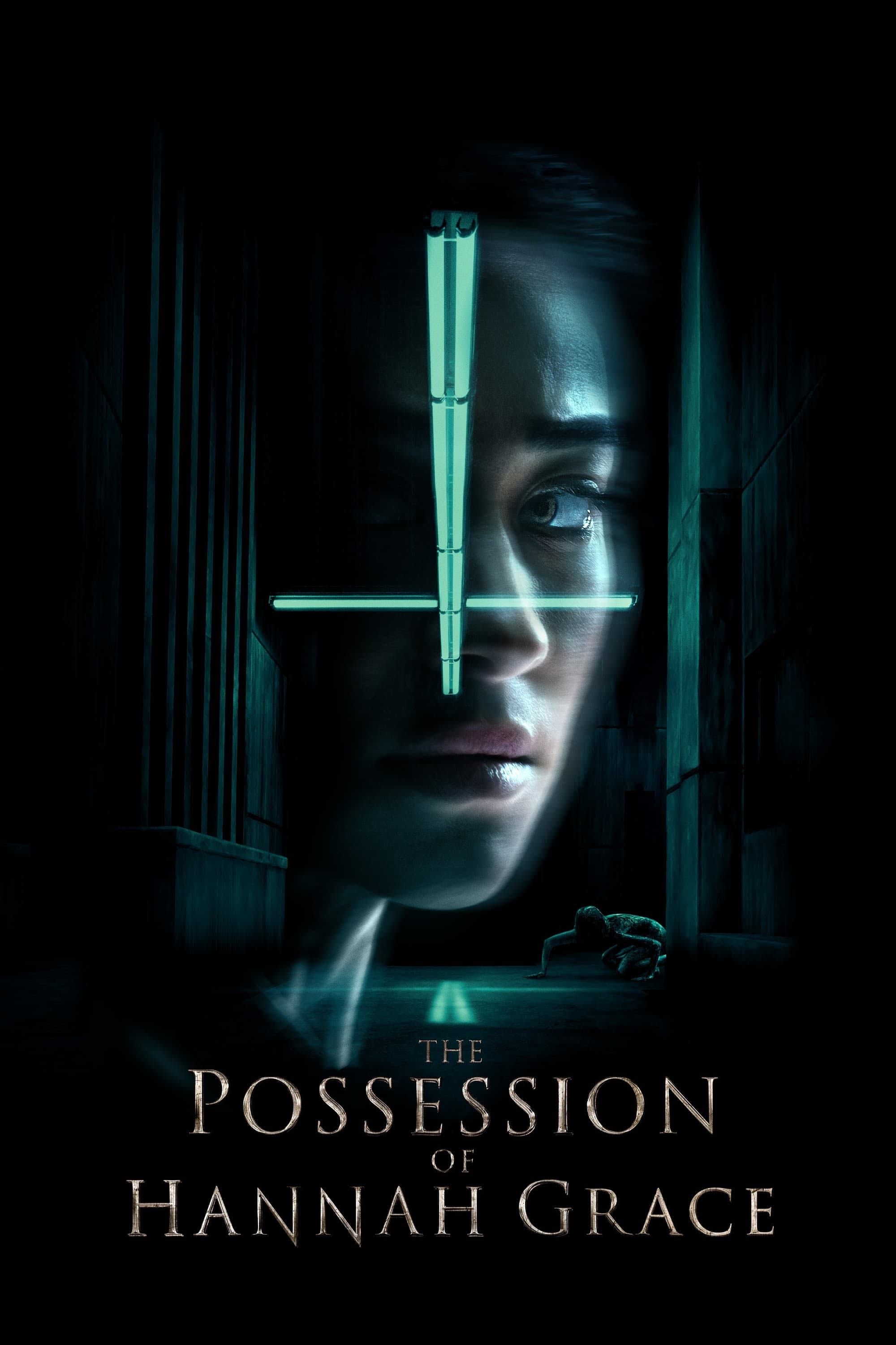 The Possession of Hannah Grace - Diederik Van Rooijen · 2018