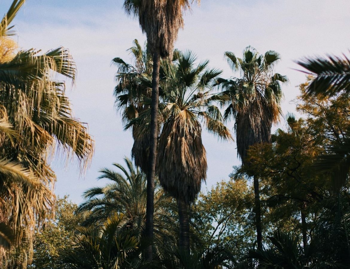 Malaga