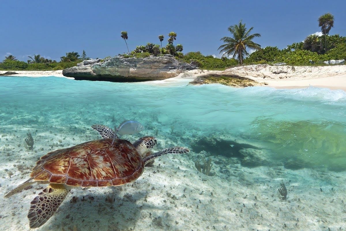 Riviera Maya