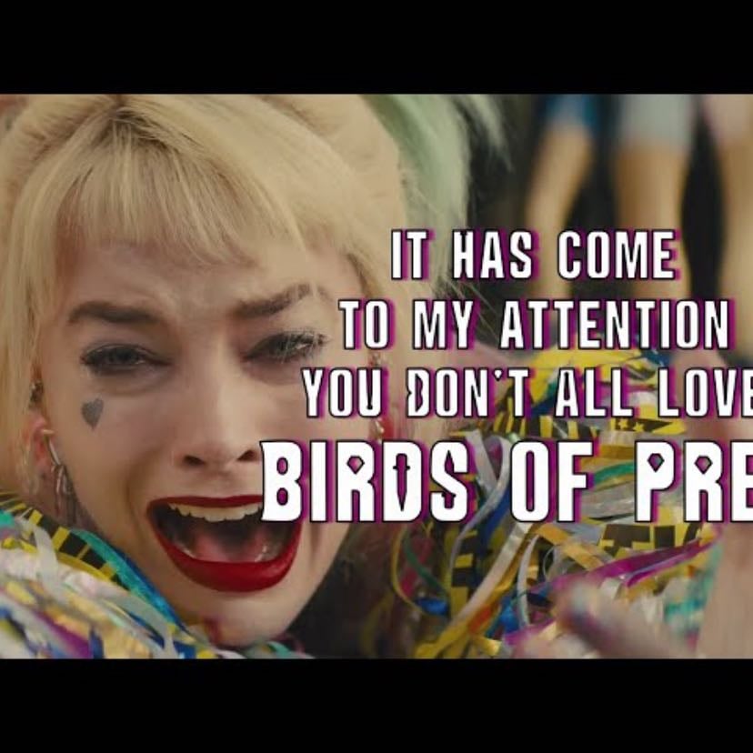 It Has Come To My Attention You Don’t All Love BIRDS OF PREY - coldcrashpictures
